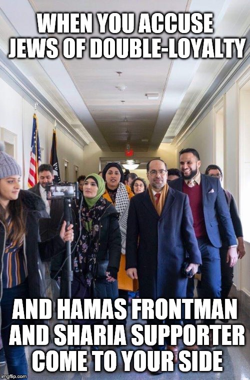 Terrorism today - in the halls of US Congress. |  WHEN YOU ACCUSE JEWS OF DOUBLE-LOYALTY; AND HAMAS FRONTMAN AND SHARIA SUPPORTER COME TO YOUR SIDE | image tagged in terrorists,anti-semitism,cockroach,hatred,hamas,muslim brotherhood | made w/ Imgflip meme maker