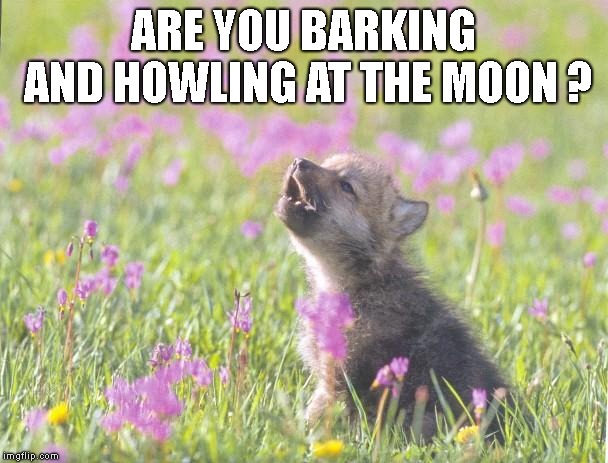 Baby Insanity Wolf Meme | ARE YOU BARKING AND HOWLING AT THE MOON ? | image tagged in memes,baby insanity wolf | made w/ Imgflip meme maker