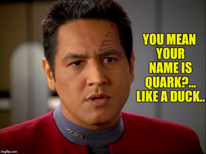 YOU MEAN YOUR NAME IS QUARK?... LIKE A DUCK.. | made w/ Imgflip meme maker