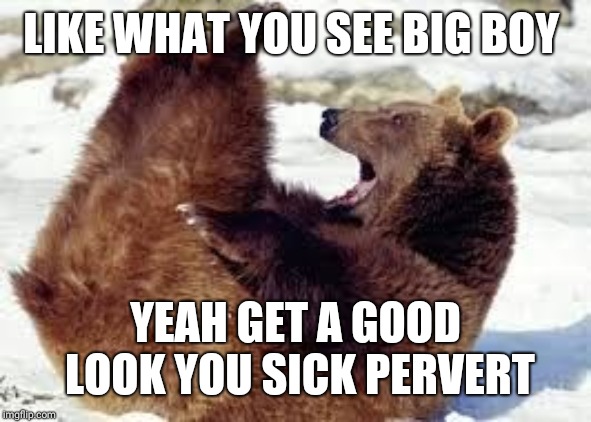 butthole bear | LIKE WHAT YOU SEE BIG BOY YEAH GET A GOOD LOOK YOU SICK PERVERT | image tagged in butthole bear | made w/ Imgflip meme maker