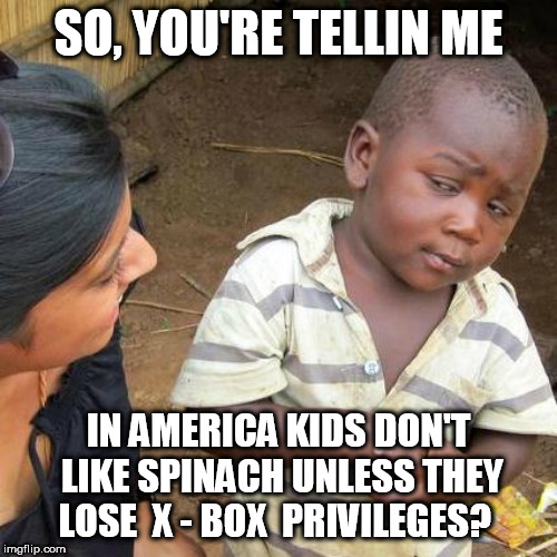 not only in  America, but they all  copy  us  even if  we are  STUPID! | SO, YOU'RE TELLIN ME; IN AMERICA KIDS DON'T LIKE SPINACH UNLESS THEY LOSE  X - BOX  PRIVILEGES? | image tagged in memes,third world skeptical kid,dumb da dumb dumb dumb only   x- box | made w/ Imgflip meme maker
