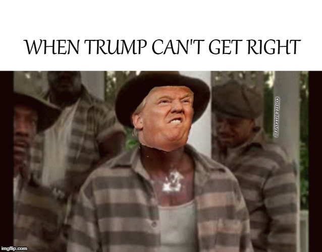 WHEN TRUMP CAN'T GET RIGHT; COVELL BELLAMY III | image tagged in trump can't get right | made w/ Imgflip meme maker