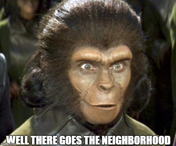 Planet of the Apes Zira | WELL THERE GOES THE NEIGHBORHOOD | image tagged in planet of the apes zira | made w/ Imgflip meme maker