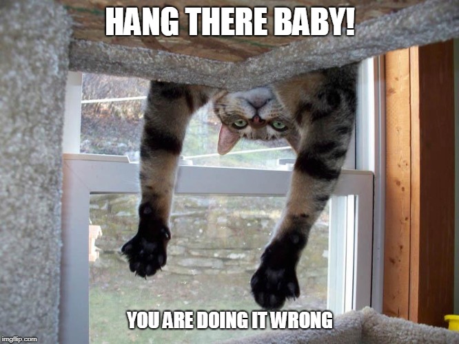 Welcome to the weekend | HANG THERE BABY! YOU ARE DOING IT WRONG | image tagged in caturday | made w/ Imgflip meme maker