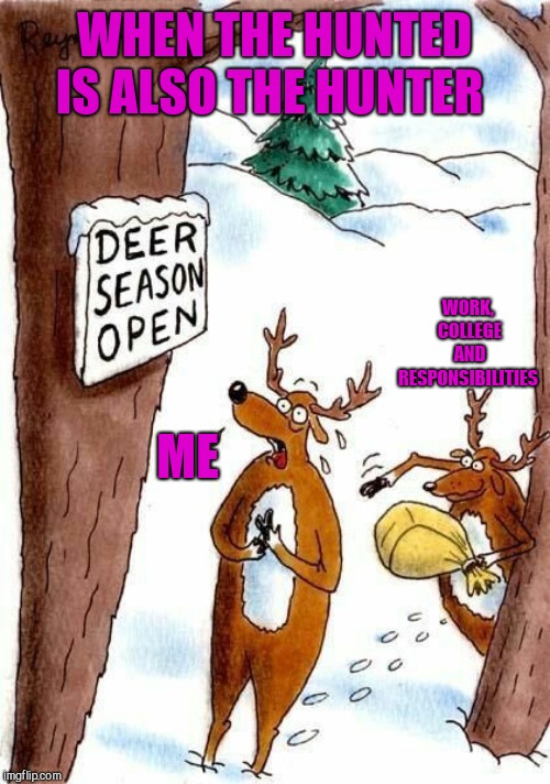 WHEN THE HUNTED IS ALSO THE HUNTER; WORK, COLLEGE AND RESPONSIBILITIES; ME | image tagged in deer,life is catching up,deer season | made w/ Imgflip meme maker