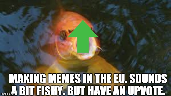 koi mouth | MAKING MEMES IN THE EU. SOUNDS A BIT FISHY. BUT HAVE AN UPVOTE. | image tagged in koi mouth | made w/ Imgflip meme maker