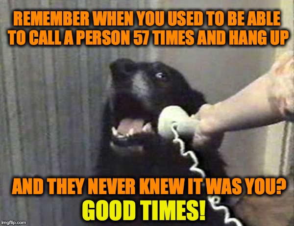 Those Were The Days | REMEMBER WHEN YOU USED TO BE ABLE TO CALL A PERSON 57 TIMES AND HANG UP; AND THEY NEVER KNEW IT WAS YOU? GOOD TIMES! | image tagged in dog phone,phone,pranks,the good old days | made w/ Imgflip meme maker