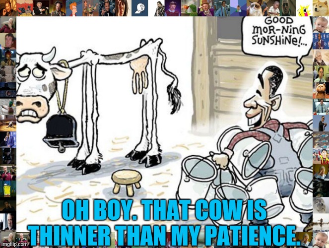 Oh boy.....  | OH BOY. THAT COW IS THINNER THAN MY PATIENCE. | image tagged in milking the cow,it's true | made w/ Imgflip meme maker
