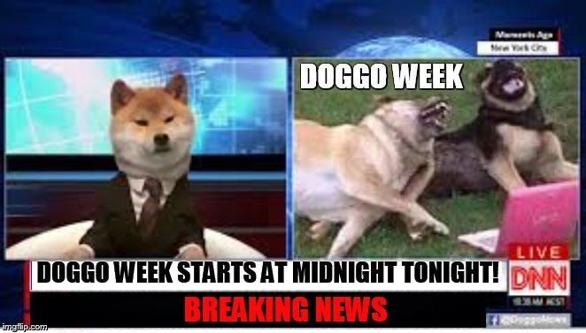 Doggo Week March 10-16 a Blaze_the_Blaziken and 1forpeace Event | DOGGO WEEK; DOGGO WEEK STARTS AT MIDNIGHT TONIGHT! BREAKING NEWS | image tagged in memes,doggo week,start,midnight,tonight,happy dog | made w/ Imgflip meme maker