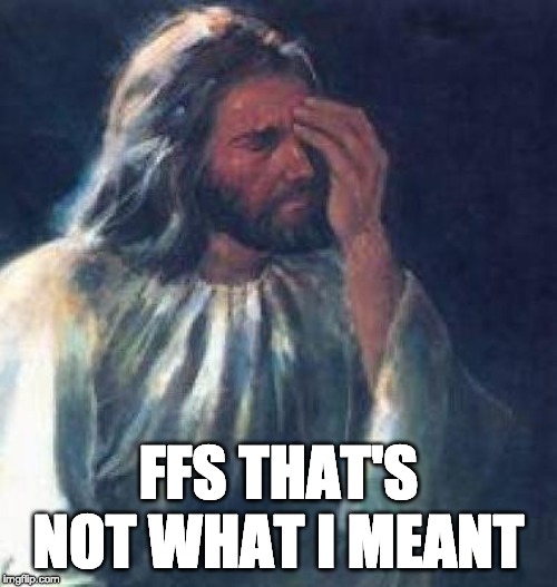 Disappointed Jesus | FFS THAT'S NOT WHAT I MEANT | image tagged in disappointed jesus | made w/ Imgflip meme maker