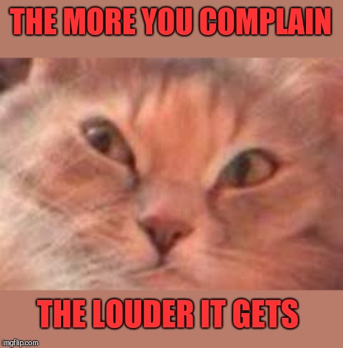 Triggered Cat | THE MORE YOU COMPLAIN THE LOUDER IT GETS | image tagged in triggered cat | made w/ Imgflip meme maker