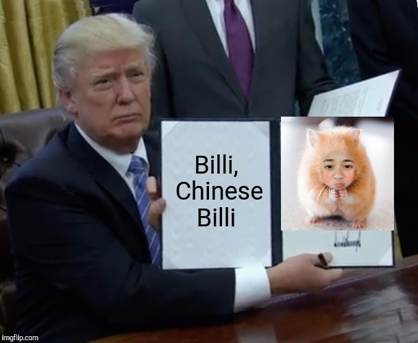 Trump Bill Signing Meme | Billi, Chinese Billi | image tagged in memes,trump bill signing | made w/ Imgflip meme maker