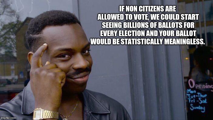 Why vote at all? | IF NON CITIZENS ARE ALLOWED TO VOTE, WE COULD START SEEING BILLIONS OF BALLOTS FOR EVERY ELECTION AND YOUR BALLOT WOULD BE STATISTICALLY MEANINGLESS. | image tagged in memes,roll safe think about it,votes,election fraud | made w/ Imgflip meme maker