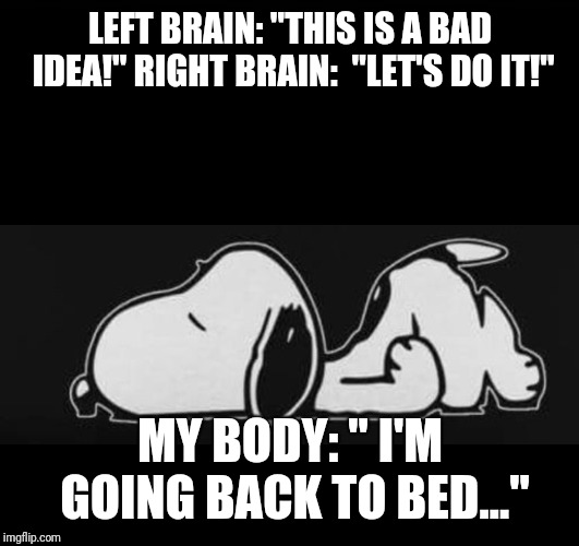 LEFT BRAIN: "THIS IS A BAD IDEA!"
RIGHT BRAIN:  "LET'S DO IT!"; MY BODY: " I'M GOING BACK TO BED..." | made w/ Imgflip meme maker