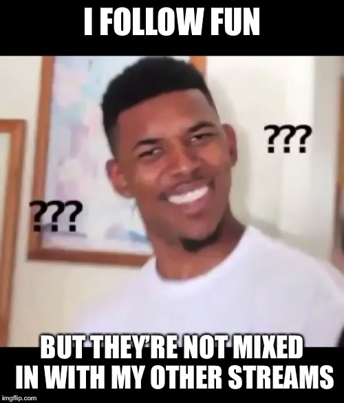 what the fuck n*gga wtf | I FOLLOW FUN BUT THEY’RE NOT MIXED IN WITH MY OTHER STREAMS | image tagged in what the fuck ngga wtf | made w/ Imgflip meme maker