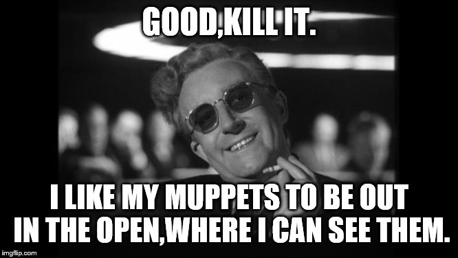 dr strangelove | GOOD,KILL IT. I LIKE MY MUPPETS TO BE OUT IN THE OPEN,WHERE I CAN SEE THEM. | image tagged in dr strangelove | made w/ Imgflip meme maker