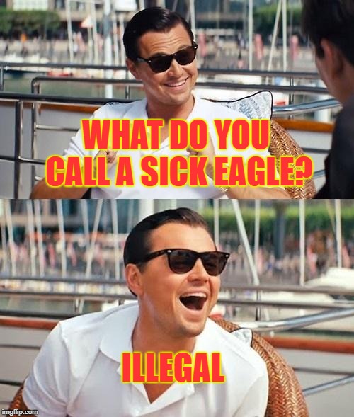 Leonardo Dicaprio Wolf Of Wall Street Meme | WHAT DO YOU CALL A SICK EAGLE? ILLEGAL | image tagged in memes,leonardo dicaprio wolf of wall street | made w/ Imgflip meme maker