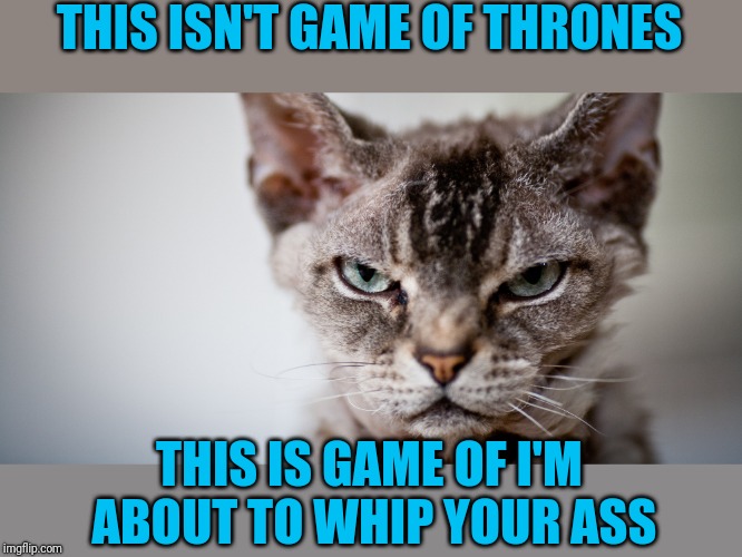 THIS ISN'T GAME OF THRONES THIS IS GAME OF I'M ABOUT TO WHIP YOUR ASS | made w/ Imgflip meme maker