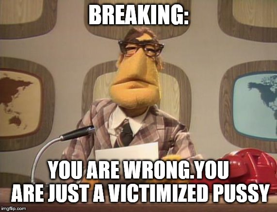 muppet news | BREAKING: YOU ARE WRONG.YOU ARE JUST A VICTIMIZED PUSSY | image tagged in muppet news | made w/ Imgflip meme maker