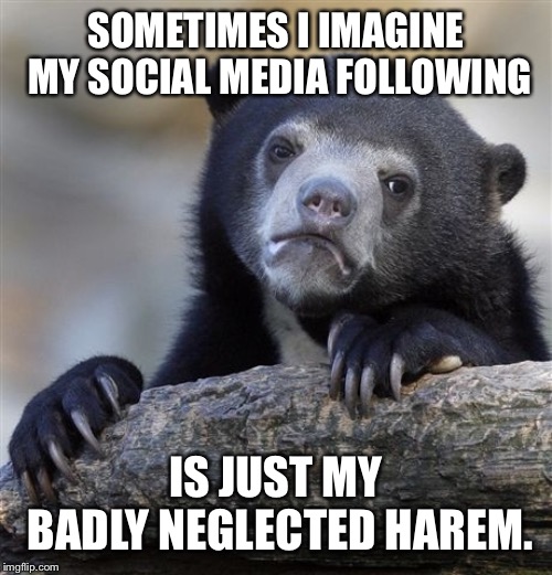 Confession Bear Meme | SOMETIMES I IMAGINE MY SOCIAL MEDIA FOLLOWING; IS JUST MY BADLY NEGLECTED HAREM. | image tagged in memes,confession bear | made w/ Imgflip meme maker