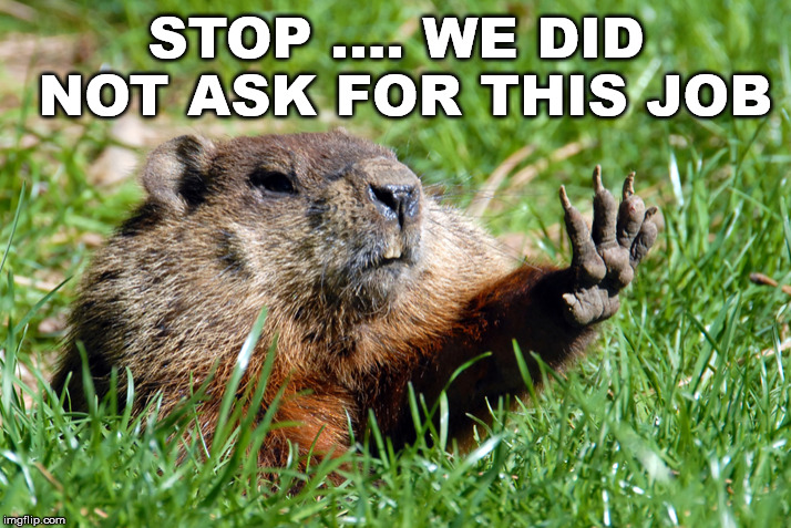 Groundhog | STOP .... WE DID NOT ASK FOR THIS JOB | image tagged in groundhog | made w/ Imgflip meme maker