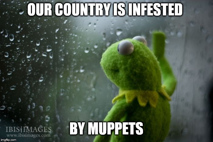 kermit window | OUR COUNTRY IS INFESTED BY MUPPETS | image tagged in kermit window | made w/ Imgflip meme maker