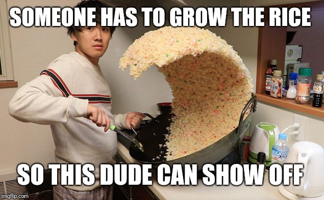 Rice Wave Guy | SOMEONE HAS TO GROW THE RICE SO THIS DUDE CAN SHOW OFF | image tagged in rice wave guy | made w/ Imgflip meme maker