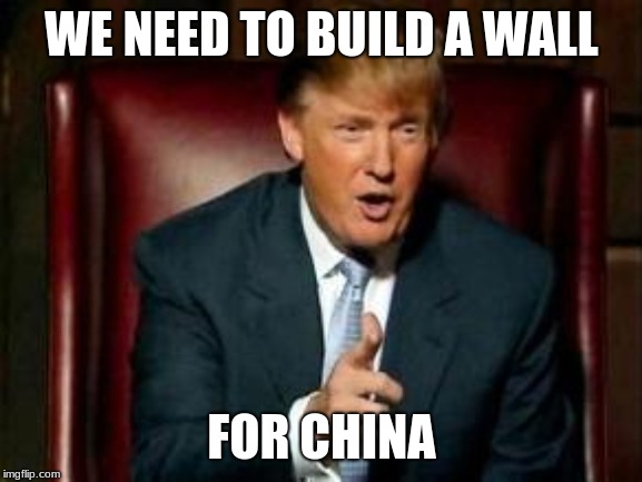 Donald Trump | WE NEED TO BUILD A WALL; FOR CHINA | image tagged in donald trump | made w/ Imgflip meme maker