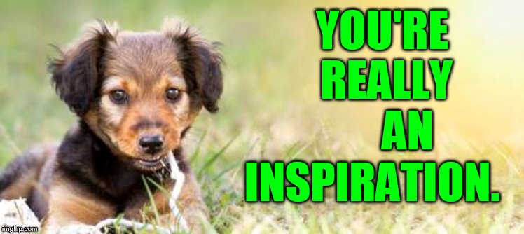 YOU'RE REALLY      AN INSPIRATION. | made w/ Imgflip meme maker