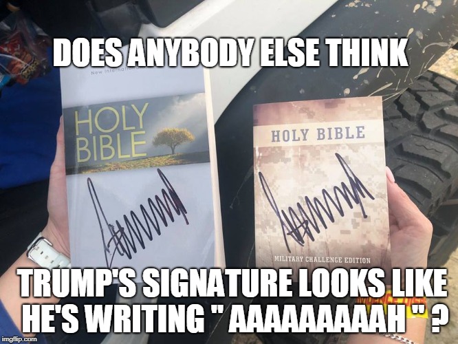 DOES ANYBODY ELSE THINK; TRUMP'S SIGNATURE LOOKS LIKE HE'S WRITING " AAAAAAAAAH " ? | image tagged in trump,bible | made w/ Imgflip meme maker