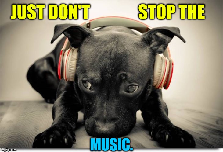 JUST DON'T               STOP THE MUSIC. | made w/ Imgflip meme maker