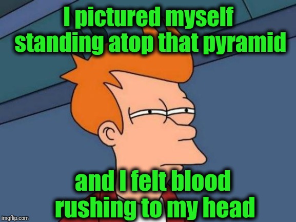 Futurama Fry Meme | I pictured myself standing atop that pyramid and I felt blood rushing to my head | image tagged in memes,futurama fry | made w/ Imgflip meme maker