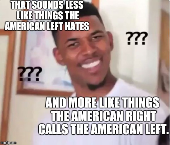 confused nigga | THAT SOUNDS LESS LIKE THINGS THE AMERICAN LEFT HATES AND MORE LIKE THINGS THE AMERICAN RIGHT CALLS THE AMERICAN LEFT. | image tagged in confused nigga | made w/ Imgflip meme maker