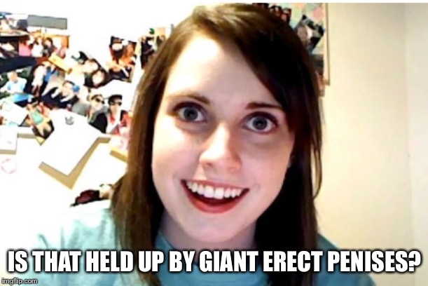 Stalker Girl | IS THAT HELD UP BY GIANT ERECT P**ISES? | image tagged in stalker girl | made w/ Imgflip meme maker