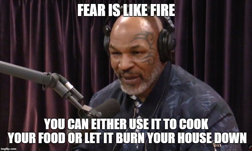 FEAR IS LIKE FIRE; YOU CAN EITHER USE IT TO COOK YOUR FOOD OR LET IT BURN YOUR HOUSE DOWN | image tagged in AdviceAnimals | made w/ Imgflip meme maker