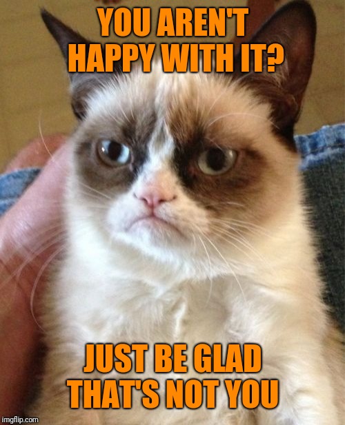 Grumpy Cat Meme | YOU AREN'T HAPPY WITH IT? JUST BE GLAD THAT'S NOT YOU | image tagged in memes,grumpy cat | made w/ Imgflip meme maker