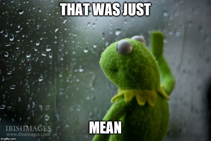 kermit window | THAT WAS JUST MEAN | image tagged in kermit window | made w/ Imgflip meme maker