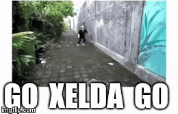 GO  XELDA  GO | image tagged in gifs | made w/ Imgflip video-to-gif maker