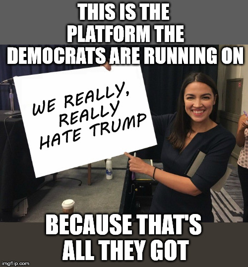 Ocasio-Cortez cardboard | THIS IS THE PLATFORM THE DEMOCRATS ARE RUNNING ON; WE REALLY, REALLY HATE TRUMP; BECAUSE THAT'S ALL THEY GOT | image tagged in ocasio-cortez blank board | made w/ Imgflip meme maker