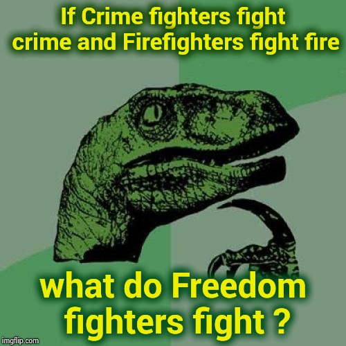 I'm not broke , I have "Negative cash flow" | If Crime fighters fight crime and Firefighters fight fire; what do Freedom fighters fight ? | image tagged in memes,philosoraptor,language,soft,you don't say,new rules | made w/ Imgflip meme maker