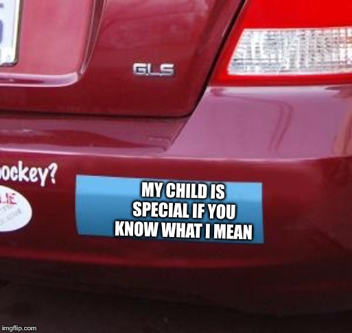 Blank bumper sticker | MY CHILD IS SPECIAL IF YOU KNOW WHAT I MEAN | image tagged in blank bumper sticker | made w/ Imgflip meme maker