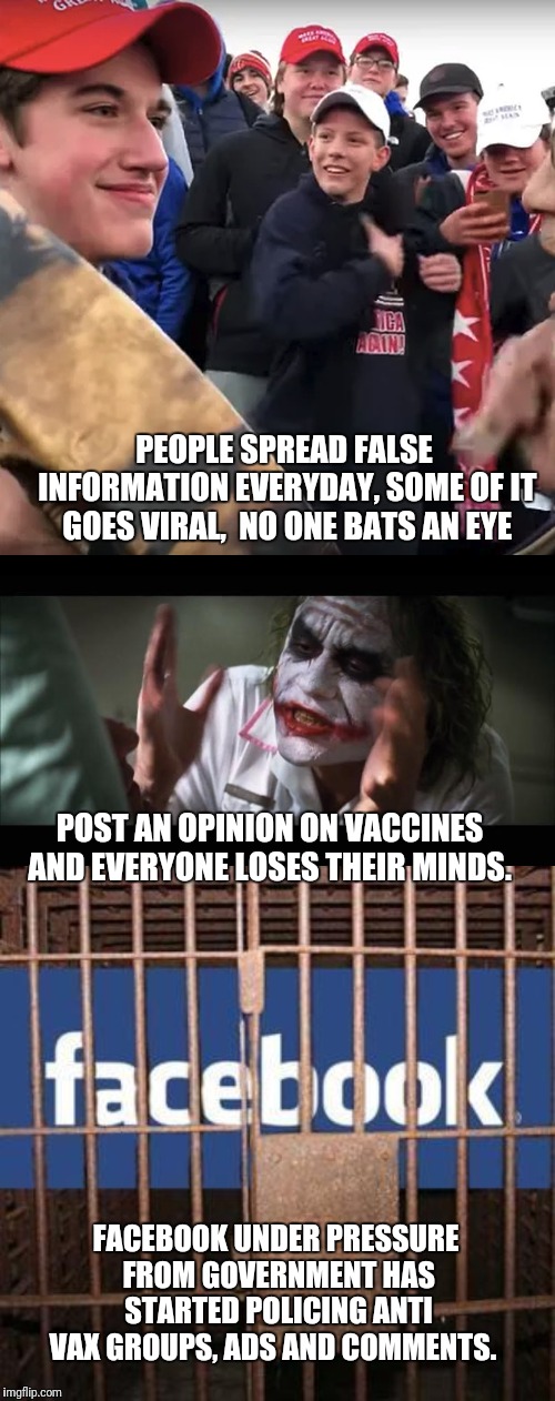 PEOPLE SPREAD FALSE INFORMATION EVERYDAY, SOME OF IT GOES VIRAL,  NO ONE BATS AN EYE; POST AN OPINION ON VACCINES AND EVERYONE LOSES THEIR MINDS. FACEBOOK UNDER PRESSURE FROM GOVERNMENT HAS STARTED POLICING ANTI VAX GROUPS, ADS AND COMMENTS. | image tagged in memes,and everybody loses their minds,facebook jail,covington | made w/ Imgflip meme maker