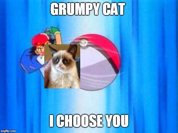 I choose you! | GRUMPY CAT; I CHOOSE YOU | image tagged in i choose you | made w/ Imgflip meme maker