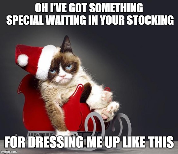 Grumpy Cat Christmas HD | OH I'VE GOT SOMETHING SPECIAL WAITING IN YOUR STOCKING FOR DRESSING ME UP LIKE THIS | image tagged in grumpy cat christmas hd | made w/ Imgflip meme maker