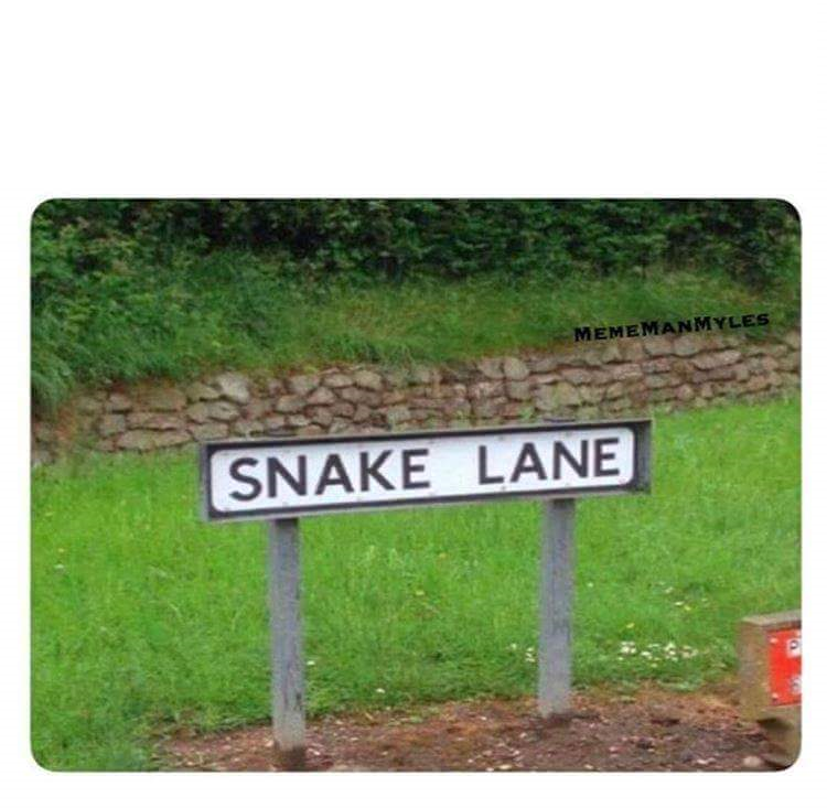 High Quality Snake Lane Blank Meme Template
