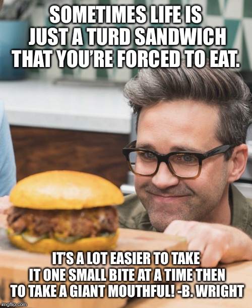 Link Stares at a Chicken Sandwich | SOMETIMES LIFE IS JUST A TURD SANDWICH THAT YOU’RE FORCED TO EAT. IT’S A LOT EASIER TO TAKE IT ONE SMALL BITE AT A TIME THEN TO TAKE A GIANT MOUTHFUL!
-B. WRIGHT | image tagged in link stares at a chicken sandwich | made w/ Imgflip meme maker