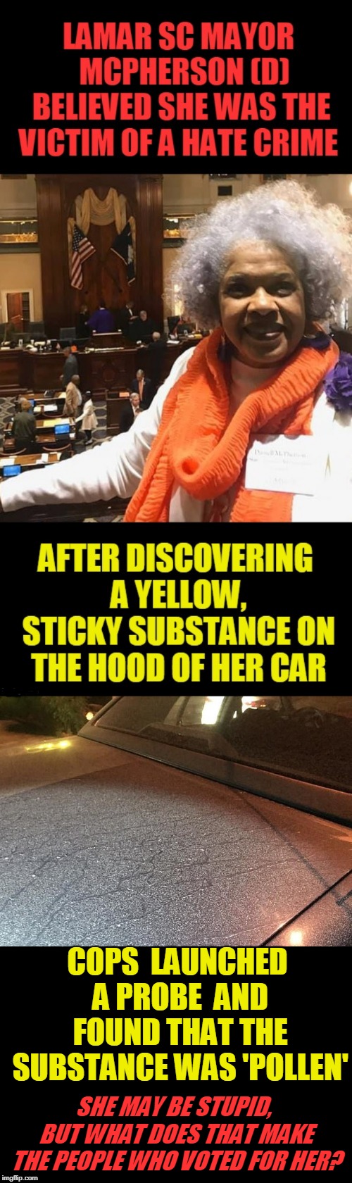 This is a True story , not made up.TREES ARE RACIST | COPS  LAUNCHED A PROBE  AND FOUND THAT THE SUBSTANCE WAS 'POLLEN'; SHE MAY BE STUPID, BUT WHAT DOES THAT MAKE THE PEOPLE WHO VOTED FOR HER? | image tagged in stupid people,hate crime,cry wolf,pollen,racist trees | made w/ Imgflip meme maker