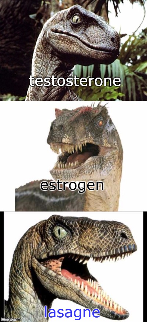 critters of all kinds seem to like lasagne. | testosterone; estrogen; lasagne | image tagged in dinosaur,male female,age page,memes | made w/ Imgflip meme maker