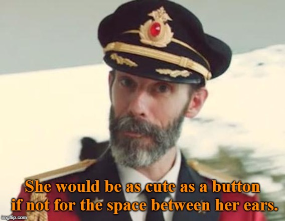 Captain Obvious | She would be as cute as a button if not for the space between her ears. | image tagged in captain obvious | made w/ Imgflip meme maker
