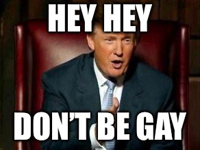 Donald Trump | HEY HEY; DON’T BE GAY | image tagged in donald trump | made w/ Imgflip meme maker